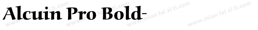 Alcuin Pro Bold字体转换